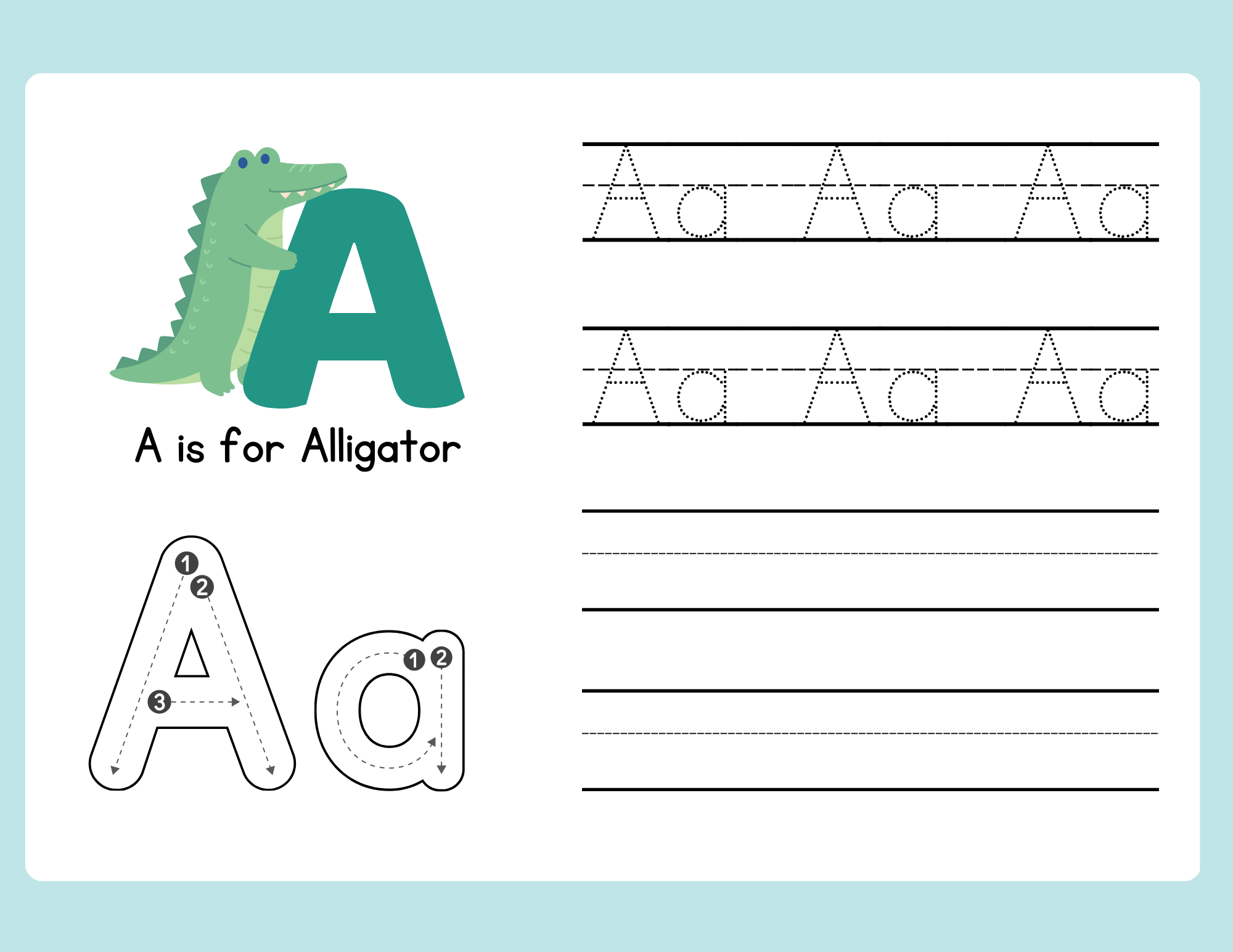 a for alligator