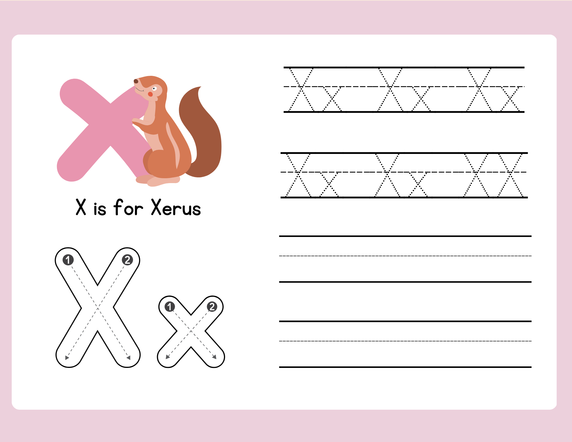 x for xerus